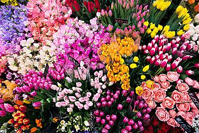 《光环：无限》圣诞档上市 首发暂无合作与锻造模式